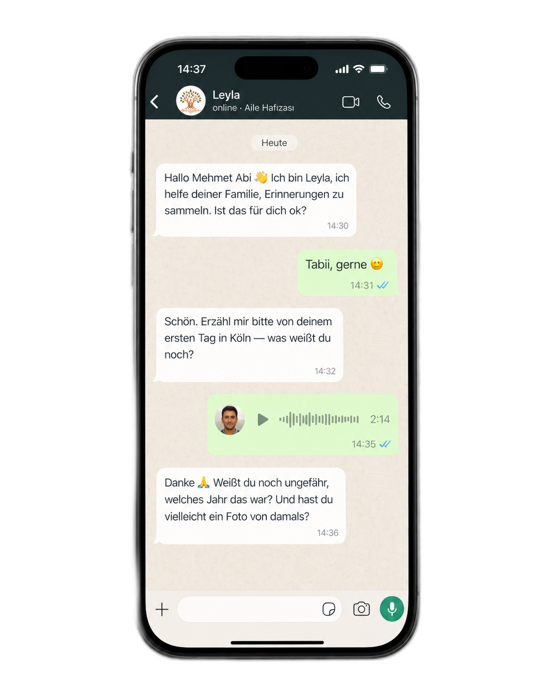 iPhone mockup with Leyla WhatsApp chat